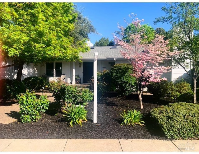 1777 Adams St, Saint Helena, CA 94574 - view of property hidden behind natural elements with a porch, stucco siding, and a chimney