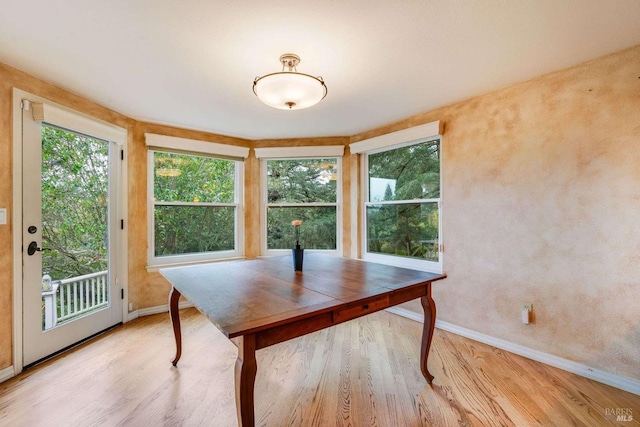 dining room with baseboards and wood finished floors