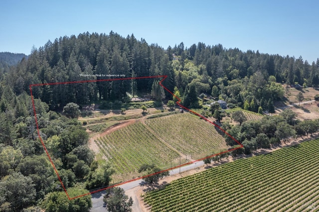 bird's eye view featuring a view of trees and a rural view