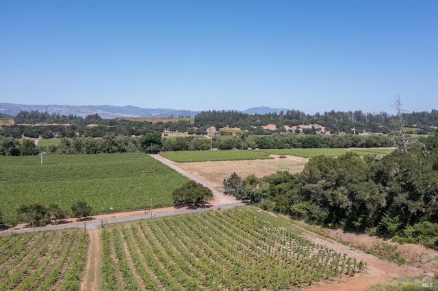 aerial view featuring a mountain view and a rural view