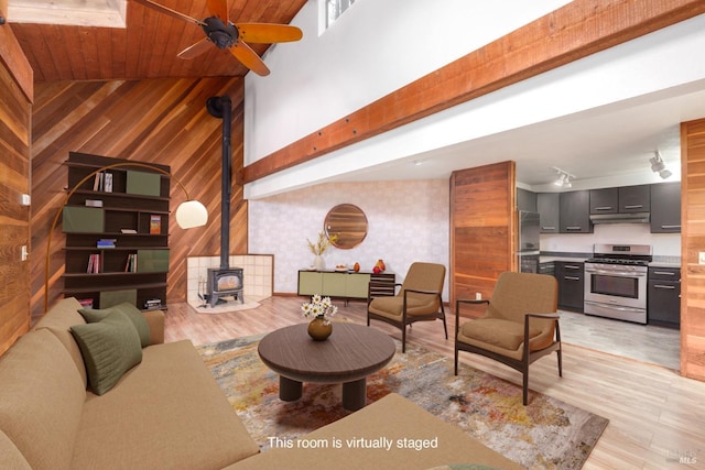 living area with ceiling fan, rail lighting, a wood stove, and light wood-style floors