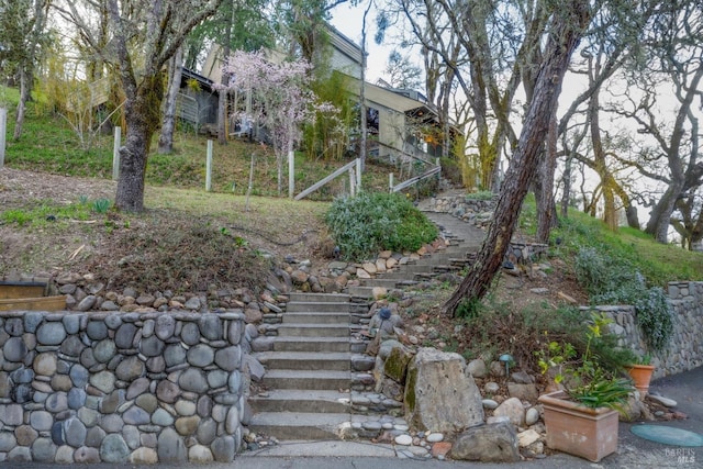 view of yard with stairs