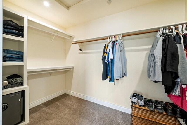 walk in closet with carpet
