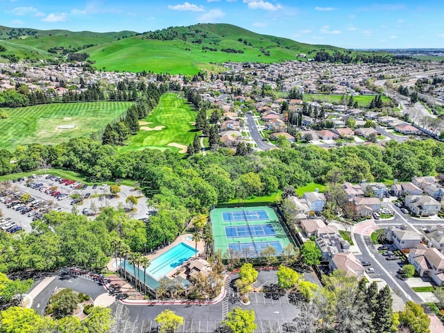 bird's eye view