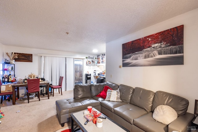 living room featuring a textured ceiling and carpet