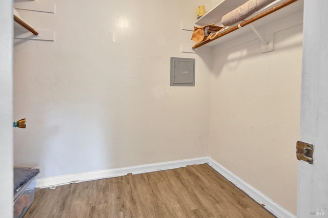 walk in closet featuring electric panel and wood finished floors