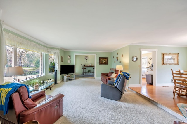 carpeted living room with baseboards and crown molding