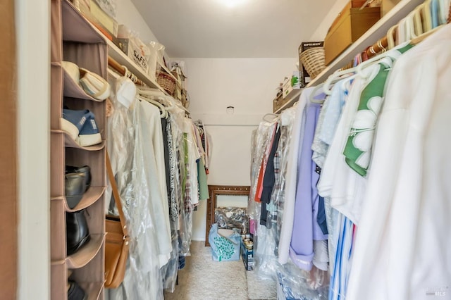 view of spacious closet