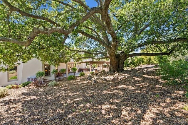 view of yard with a patio