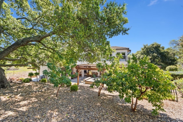 view of yard with a patio