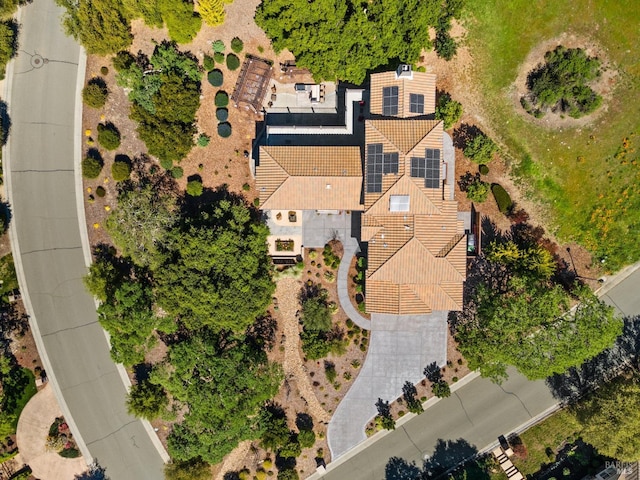 aerial view