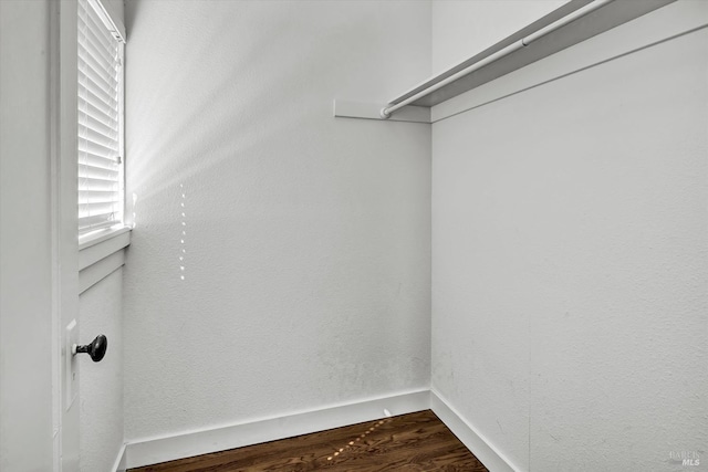 spacious closet featuring dark wood-type flooring