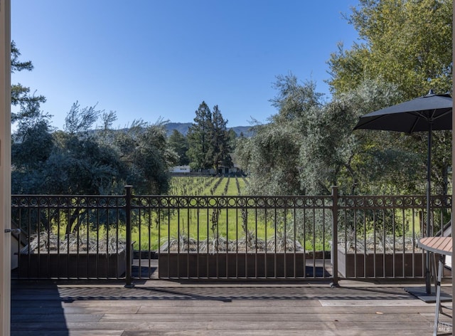 1149 Hudson Ave, Saint Helena, CA 94574 - view of gate with a mountain view