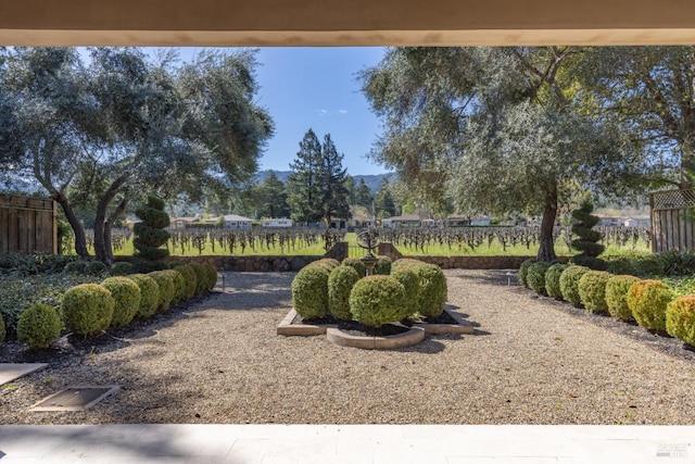 1149 Hudson Ave, Saint Helena, CA 94574 - view of yard with fence