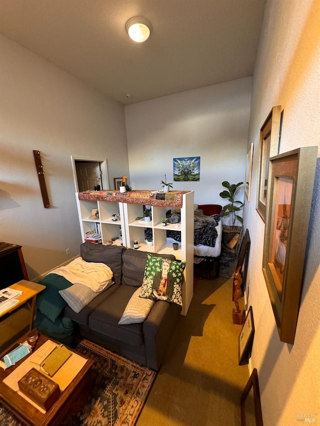 living room featuring carpet floors