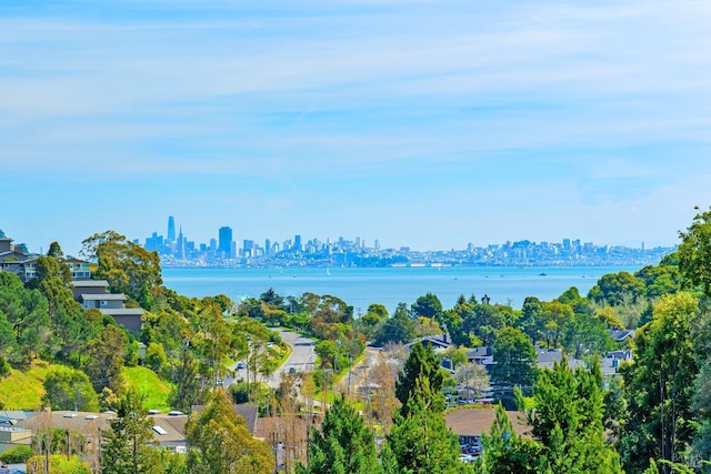 view of water feature featuring a city view