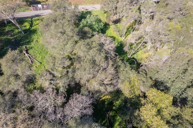 1121 Steele Canyon Rd, Napa, CA 94558
