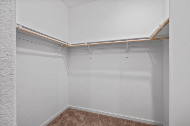 walk in closet featuring carpet