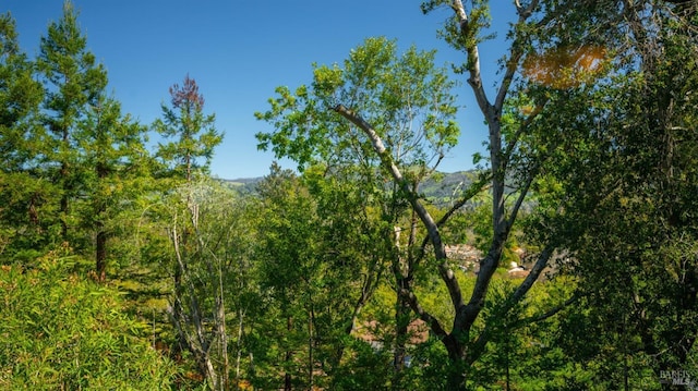 view of nature with a forest view