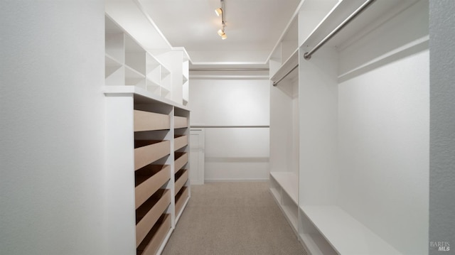 walk in closet with carpet flooring