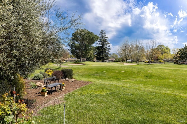 view of community featuring a yard