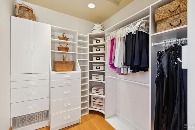 walk in closet featuring light wood-style floors
