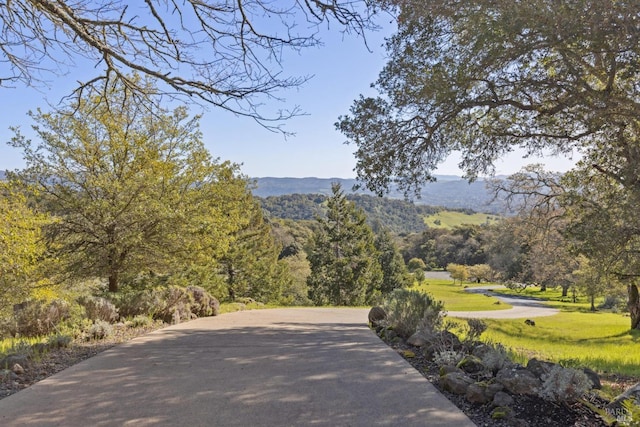 view of mountain feature featuring a forest view