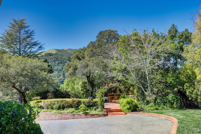 view of home's community with a mountain view