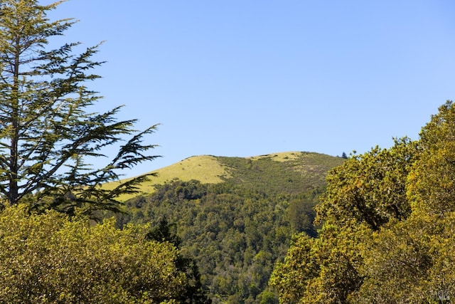 mountain view featuring a forest view