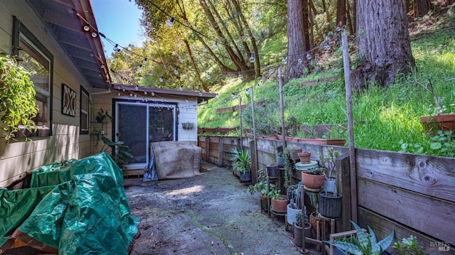 317 Olema Rd, Fairfax, CA 94930 - view of patio / terrace