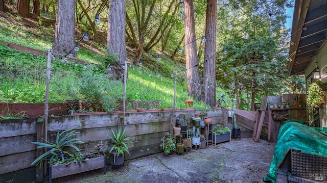 317 Olema Rd, Fairfax, CA 94930 - view of patio