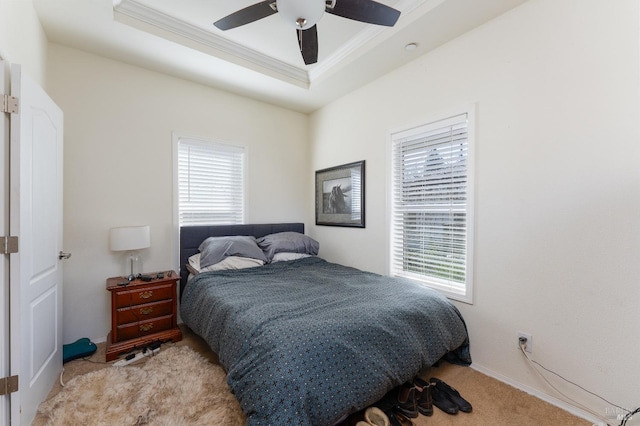 carpeted bedroom with a ceiling fan, a raised ceiling, ornamental molding, and multiple windows