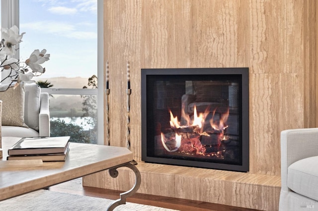 interior details with a glass covered fireplace