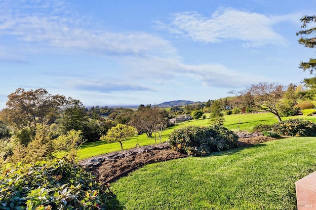 view of yard with a mountain view