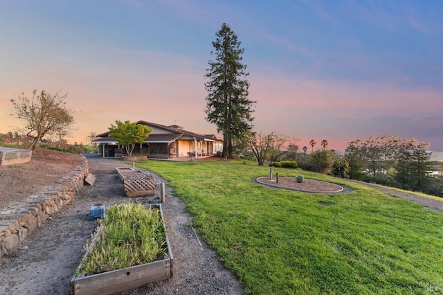 view of yard featuring a vegetable garden