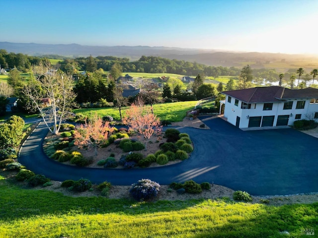 drone / aerial view