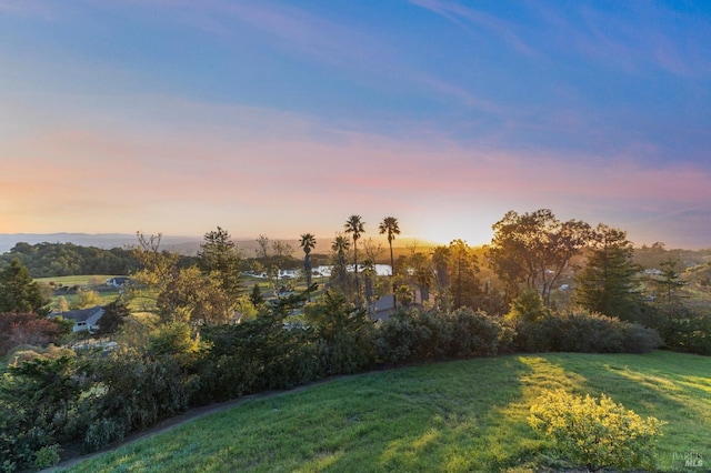 view of yard at dusk