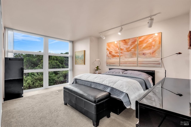 carpeted bedroom featuring a wall of windows and rail lighting