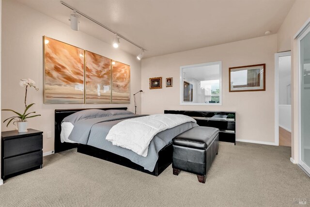 bedroom with baseboards, carpet, and rail lighting