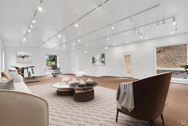 carpeted living area featuring track lighting