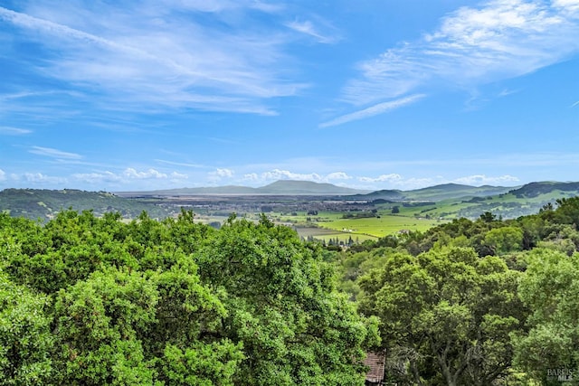 view of mountain feature