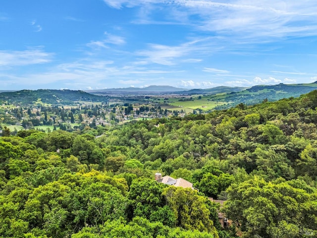 aerial view featuring a mountain view and a view of trees
