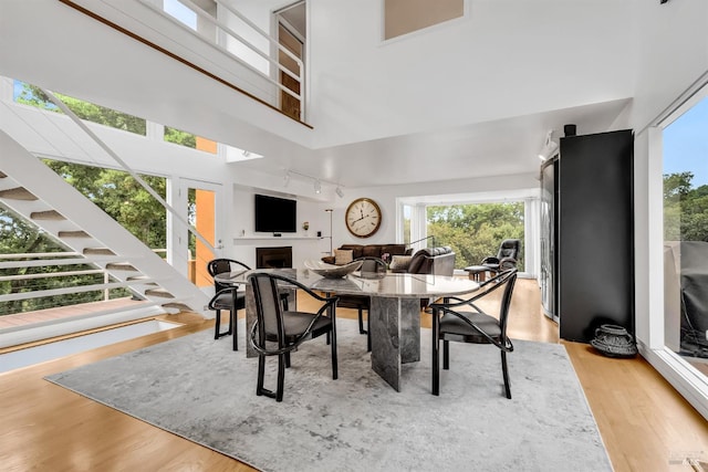 dining room featuring rail lighting, a high ceiling, wood finished floors, and a fireplace