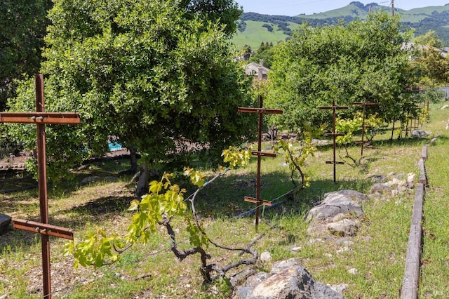 5232 Sunridge Dr, Fairfield, CA 94534 - view of yard featuring a mountain view