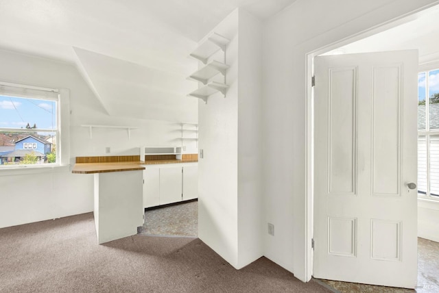 interior space with a wealth of natural light and carpet floors