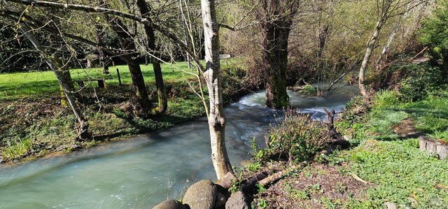 11900 Hwy 116, Guerneville, CA 95446 - property view of water