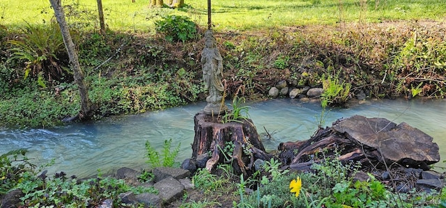 11900 Hwy 116, Guerneville, CA 95446 - view of water feature