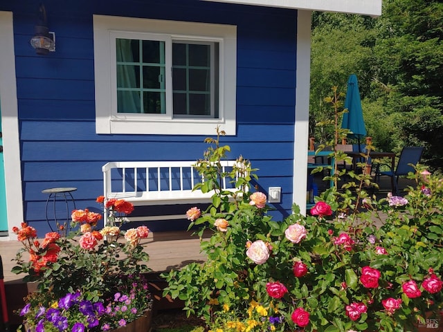 11900 Hwy 116, Guerneville, CA 95446 - view of side of property