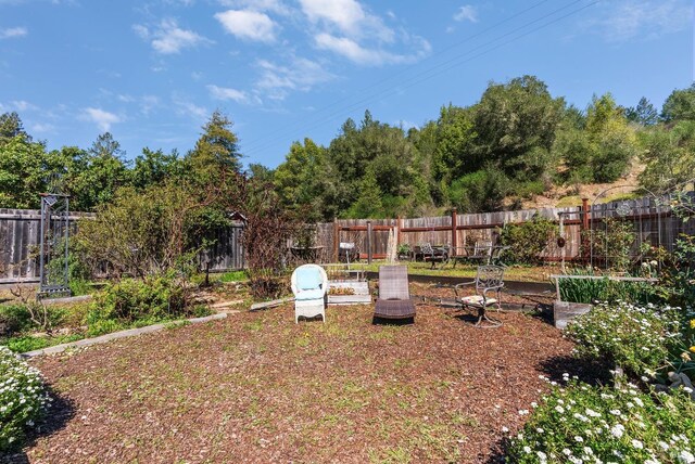 11900 Hwy 116, Guerneville, CA 95446 - view of yard with a fenced backyard