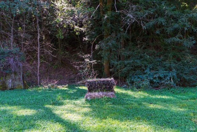 11900 Hwy 116, Guerneville, CA 95446 - view of home's community with a storage shed and an outdoor structure